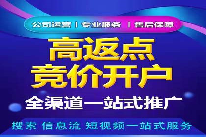 行业首例：SEM竞价优化案例的成效与启示
